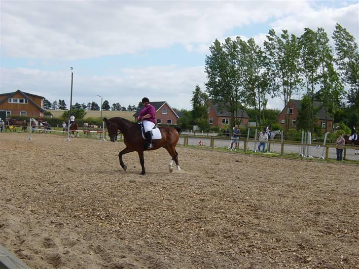 Oldenborg stidsbjergs Jarl  "DØD" - red LB2 billede 5