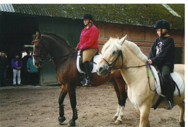 Oldenborg stidsbjergs Jarl  "DØD" - wiffertsholm stævne 2000 billede 7