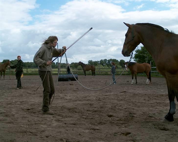 Oldenborg stidsbjergs Jarl  "DØD" - utte prøver uden kontakt at få Jarl til at bakke billede 10