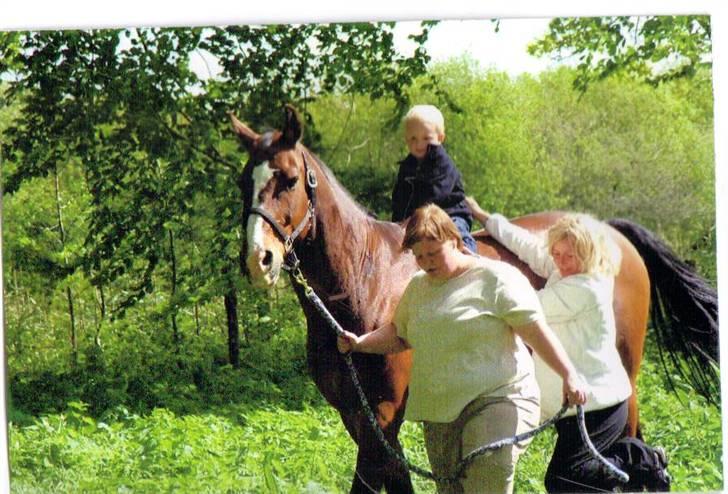 Oldenborg stidsbjergs Jarl  "DØD" - min nevø toke ville prøve den store hest. 2003 billede 11