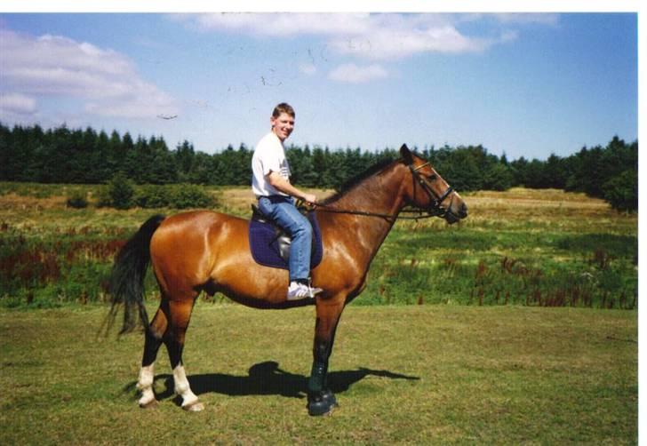 Oldenborg stidsbjergs Jarl  "DØD" - min bedre halvdel jeppe på jarl sommeren 2000 billede 13