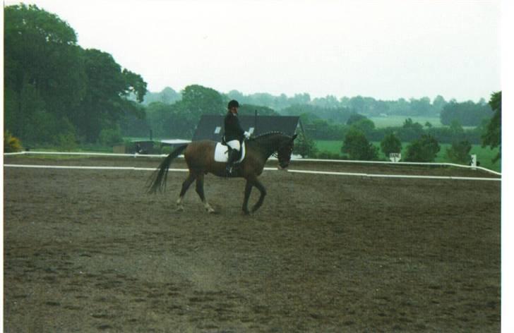 Oldenborg stidsbjergs Jarl  "DØD" - la2 hadsund i regnvejr billede 14