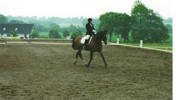 Oldenborg stidsbjergs Jarl  "DØD" - la2 hold da helt op det regnede billede 15