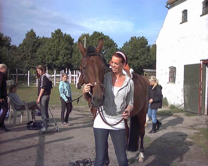 Traver Fasten Seat Belt  R.I.P. billede 9