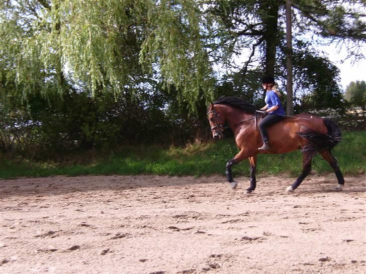 Oldenborg Hedemarkens Atlet. R.I.P  billede 11