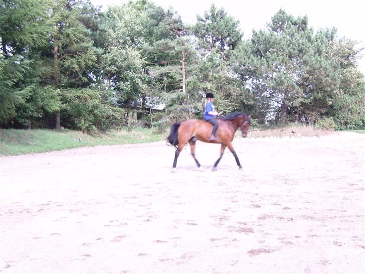 Oldenborg Hedemarkens Atlet. R.I.P  billede 12