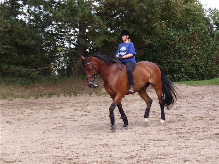 Oldenborg Hedemarkens Atlet. R.I.P  billede 13