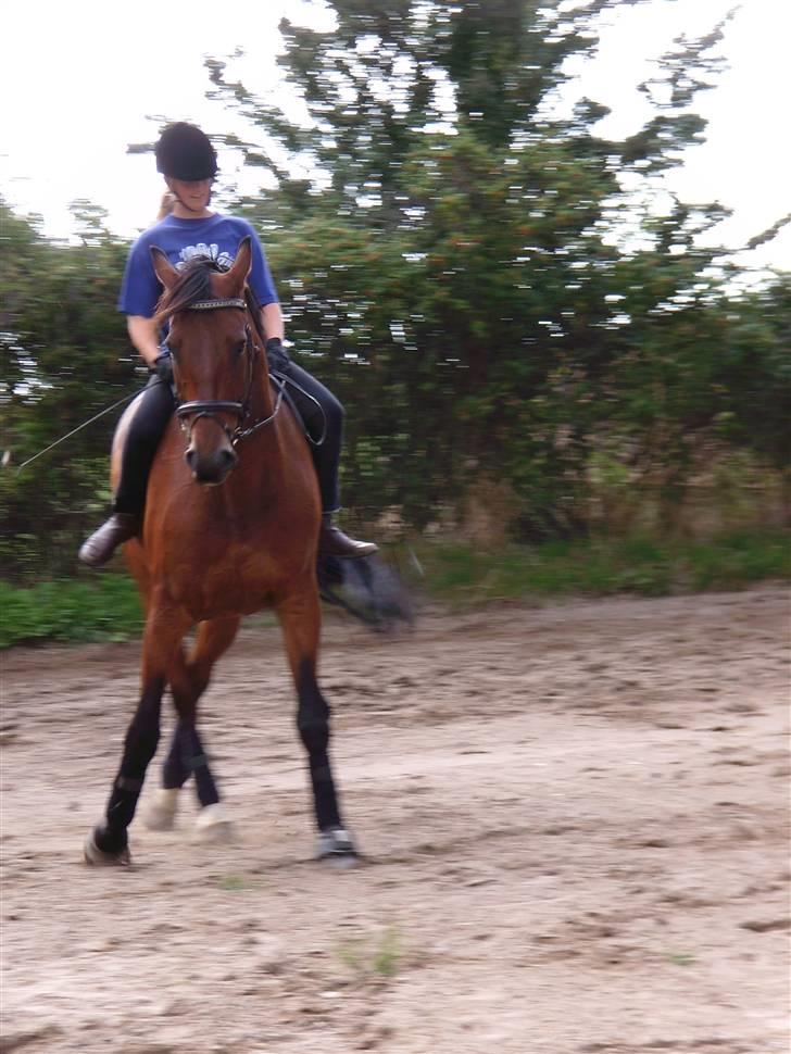 Oldenborg Hedemarkens Atlet. R.I.P  billede 14