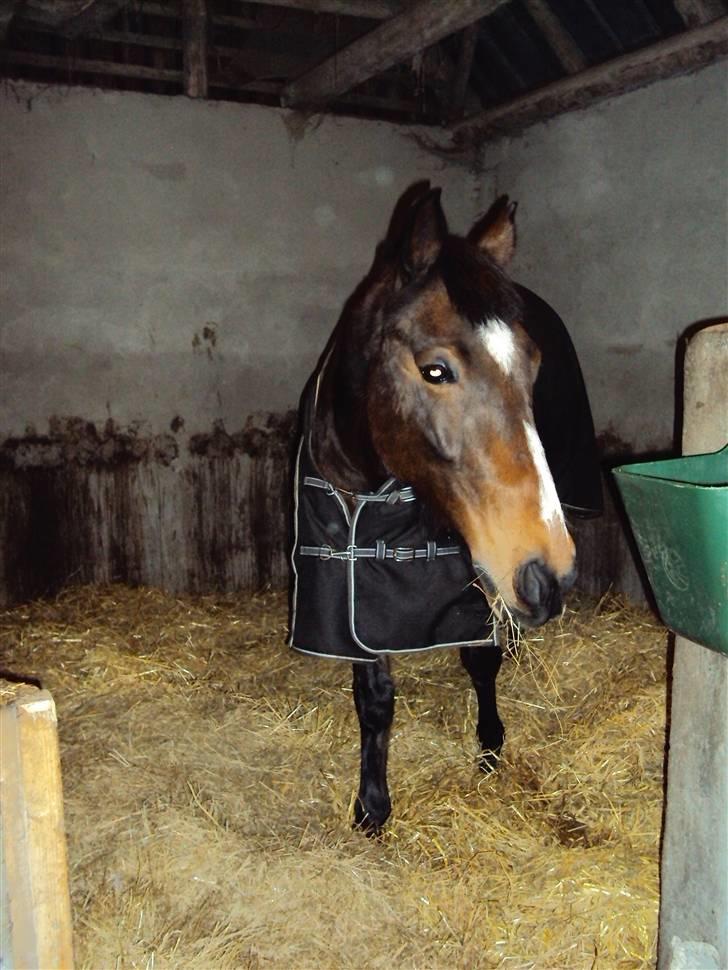 Traver !!!Garcon!!! - her er min boks billede 11