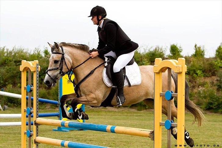 Anden særlig race Remember Me (Solgt) - En fejlfri LB i NFRK d. 1 august. Billedet er taget og købt af CTfoto. billede 13