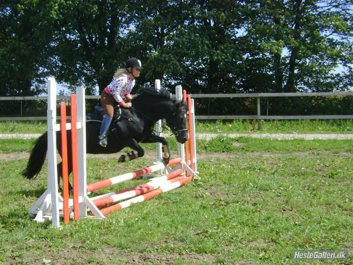 Anden særlig race GUCCI - Med i banen <33 billede 12
