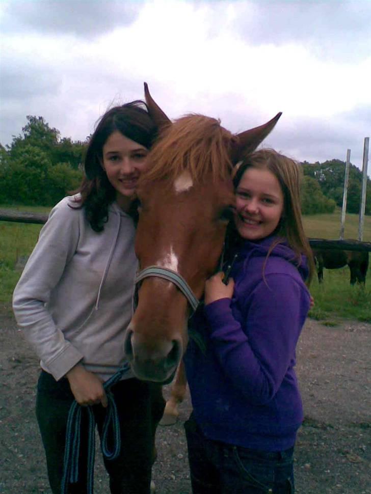 Oldenborg Malik - Mette, Malik og mig  billede 3