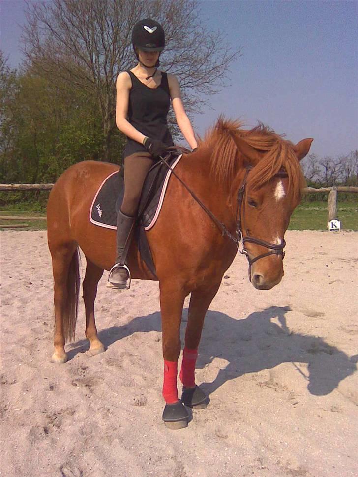 Oldenborg Malik billede 5