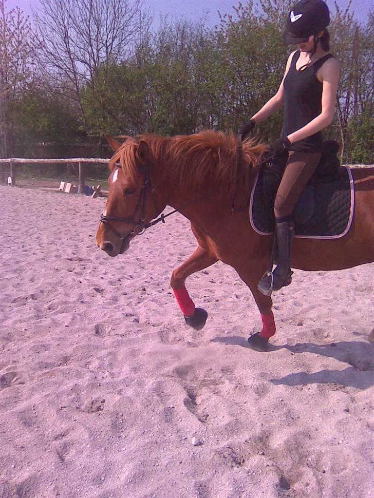 Oldenborg Malik billede 6