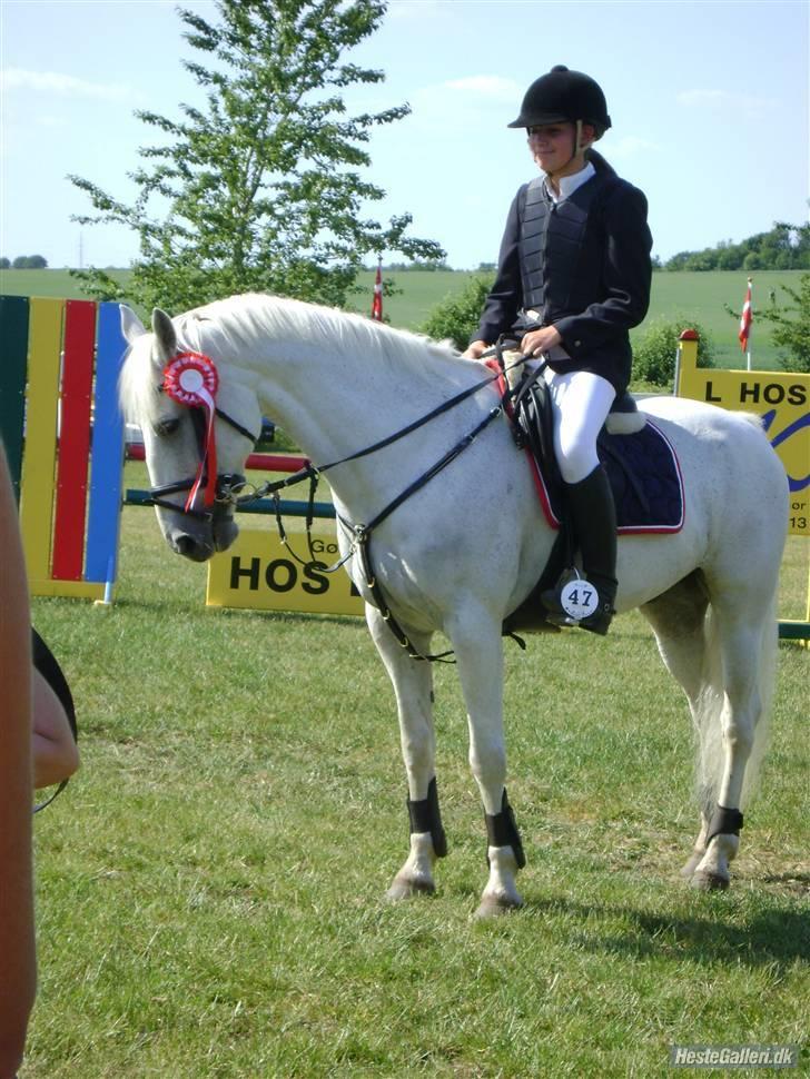 Anden særlig race Irish Jumper - solgt  - 1 plads i en MA lands. *STOLT* Foro: Aneé <3 billede 14