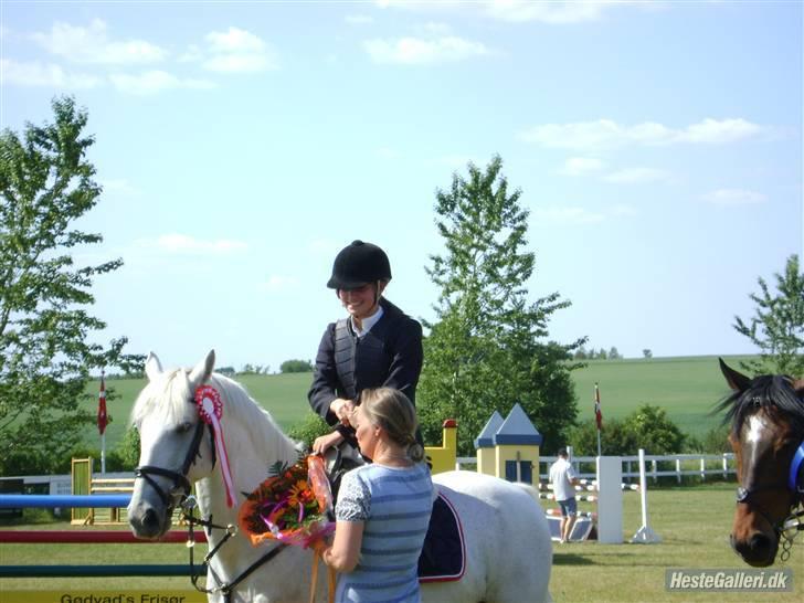 Anden særlig race Irish Jumper - solgt  - Igen MA 1 plads lands.. Foto: Aneé <3 billede 15