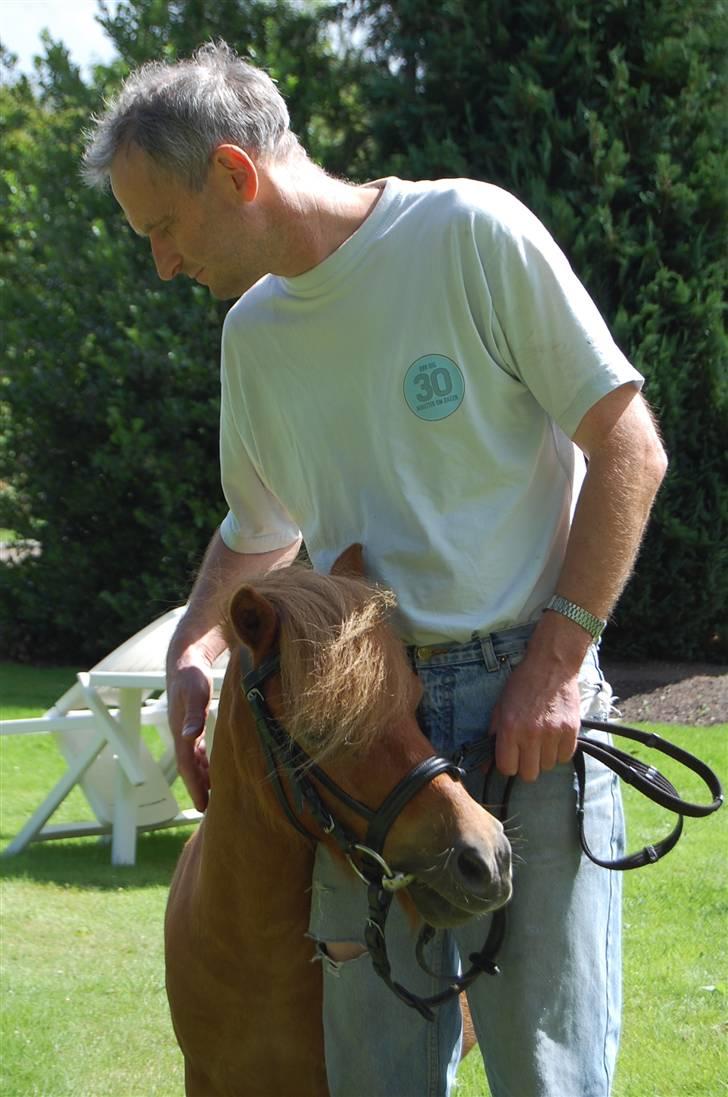 Shetlænder Zafir <3 - Zafir og min far foto > Mette Hansen billede 4