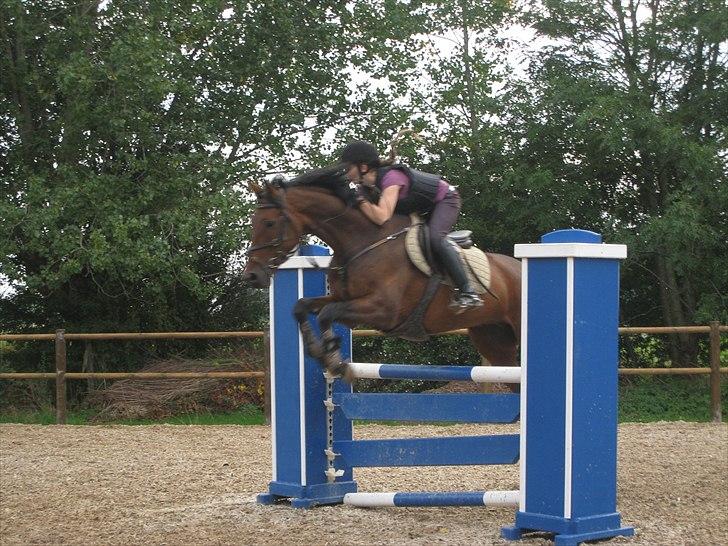 Holstener Casino <3  - Billede 2: Kursus d. 11 og 12 september 2010 med Ole P Linnet billede 2