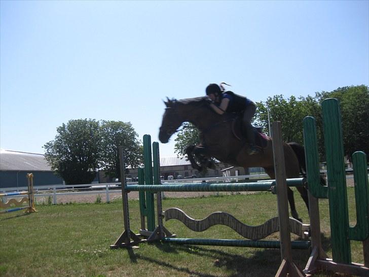 Holstener Casino <3  - Billede 3: Træning på NFRK d. 14/7-10. Springer her 100 cm billede 3