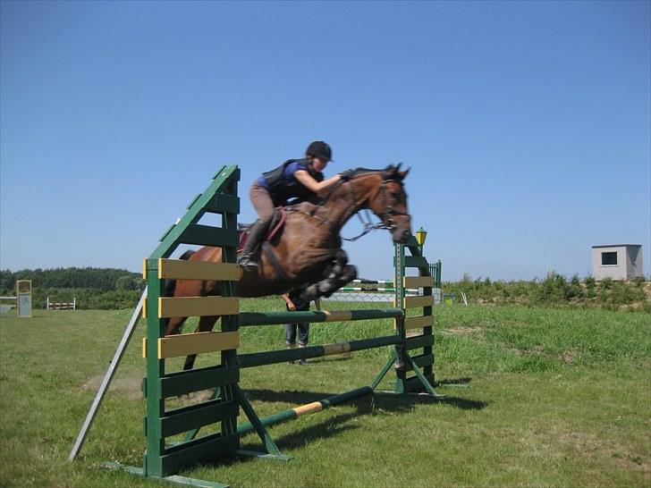 Holstener Casino <3  - Billede 4: Træning på NFRK d. 14/7-10. Springer her 100 cm billede 4