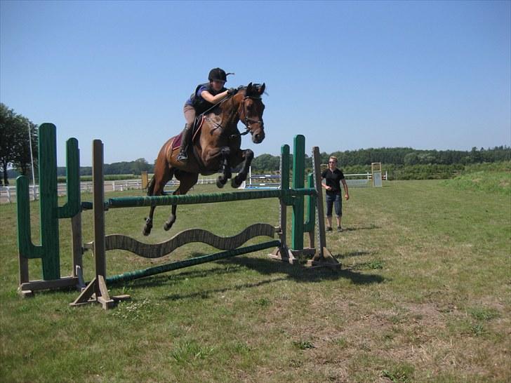 Holstener Casino <3  - Billede 6: Træning på NFRK d. 14/7-10. Springer her 110 cm billede 6