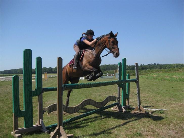 Holstener Casino <3  - Billede 8: Træning på NFRK d. 14/7-10. Springer her 110 cm billede 8