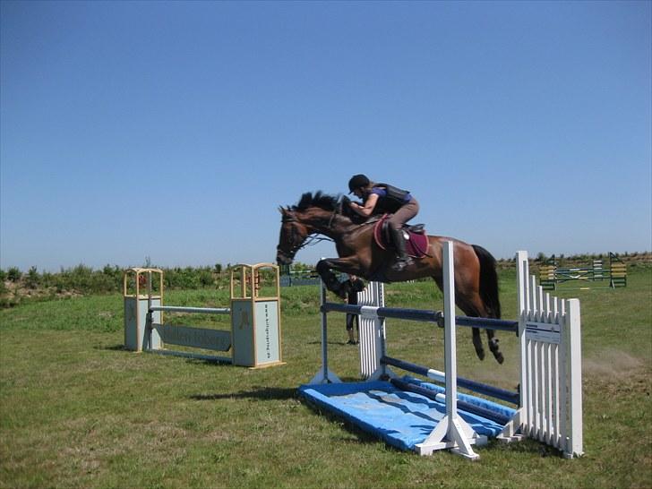 Holstener Casino <3  - Billede 9: Træning på NFRK d. 14/7-10. Springer her 110 cm billede 9