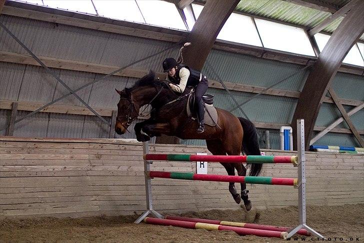 Holstener Casino <3  - Billede 10: Kursus med Thomas Sandgaard d. 31 oktober 2010 på Sakskøbing Rideklub. Foto taget af: CTFoto (ER købt!) Springer ca. 100 cm. Trækker godt op :) billede 10