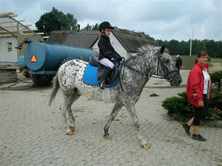 Appaloosa Benno - 2 gang jeg rider på dejlige BENNO billede 6