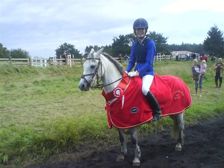 Welsh Pony (sec B) Lyngvejens Jack  - på vej til præmieoverrækkelse til distriksmesterskaberne 2007 billede 13