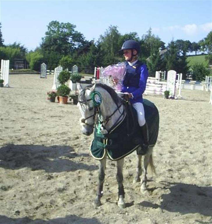 Welsh Pony (sec B) Lyngvejens Jack  - Distriktsmesterskab 2006, med en 3. plads :) billede 16