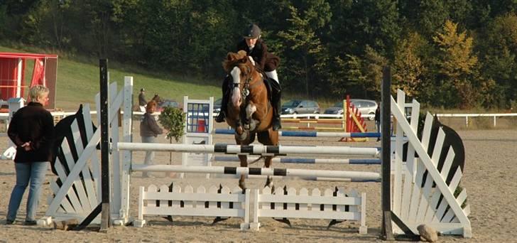 DSP Banzai (Solgt) - Banzai og jeg til vores første distriksmesterskab nede på Hedehusgården (LA) . Blev 1. uplaceret :( billede 9