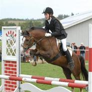 Anden særlig race Super Soxs