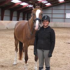 Hollandsk Varmblod Zunita