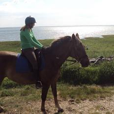 Anden særlig race Miss maja   (død)