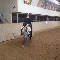 Anden særlig race Theis - VBP <3