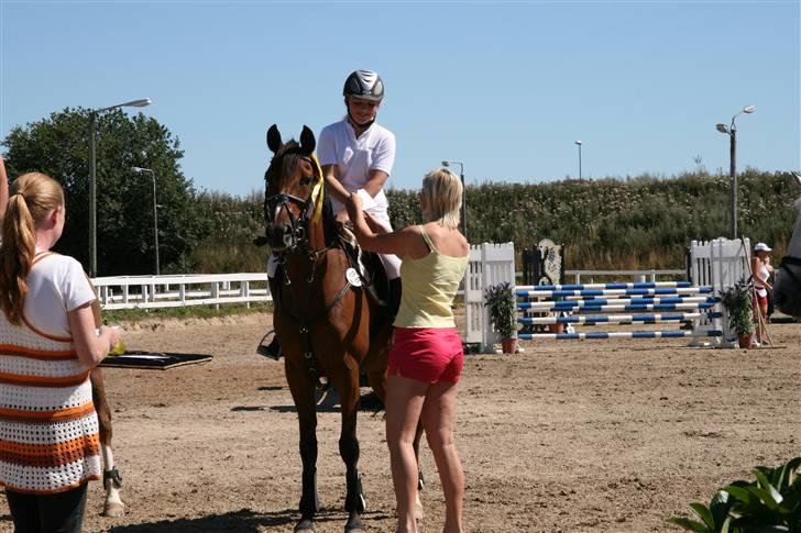 DSP Friis Maestro - Friis Maestro LA Hillerød sportrideklub 4 plads blev det til . d. 26 Juli 2008 fotograf: Line Rasmussen billede 10