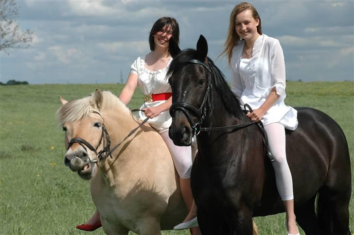 Fjordhest Simba <3 solgt - anna og simba, og stien og blackie. 9 maj, 2009 <3 billede 16