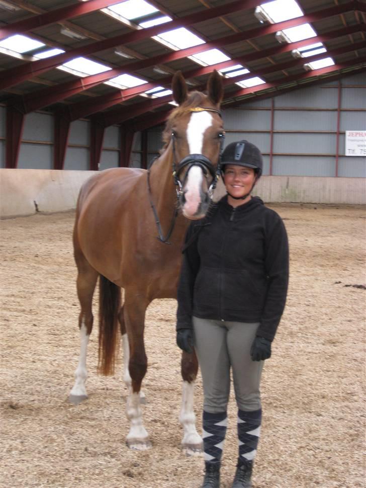 Hollandsk Varmblod Zunita billede 3