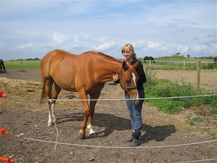 Arabisk fuldblod (OX) Fyrst Milo - Tror vi bliver stående her lidt endnu... <3 billede 18