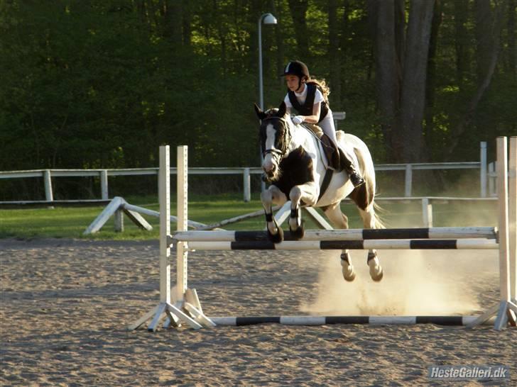 Pinto Gipsy <3 (gamle part <3) - Velkommen til den smukkeste pony Gipsy...<3 Her rider vi Lb ;D Foto: caroline.. Tak<3 billede 1