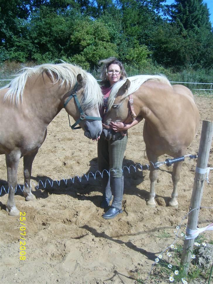 Haflinger Emma <3 (gamle part) - Hygge <3 billede 8