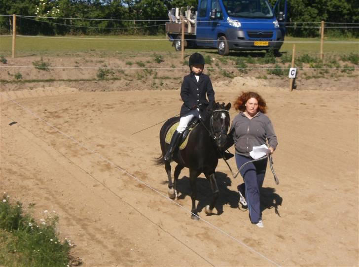 Anden særlig race Bastian - Bastian til stævne :)  billede 1