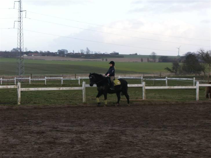 Anden særlig race Bastian - Bastian <3 billede 3