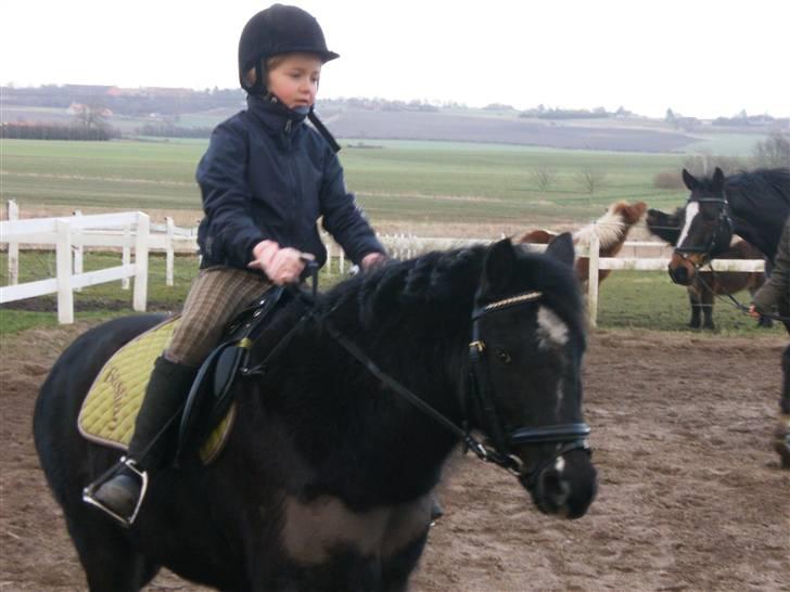 Anden særlig race Bastian - Bastian :) billede 4