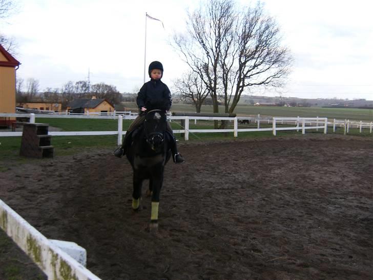 Anden særlig race Bastian - Bastian drersur trænig :) billede 5