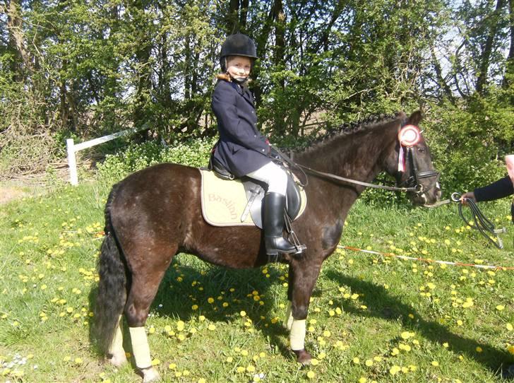 Anden særlig race Bastian - Bassen bastian :D.  billede 7