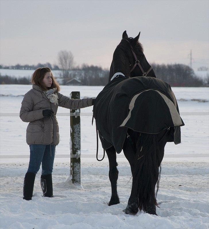 Frieser - Christa (Blackie) - Viser hende lige hvor hegnet er - hun er blevet lidt livlig når hun står inde hele dagen :) (d. 26/12-10) billede 4