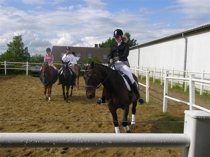 Dansk Varmblod Klanks Giovanni † RIP † - Sidste skoledag igen. Foto: Far. billede 7