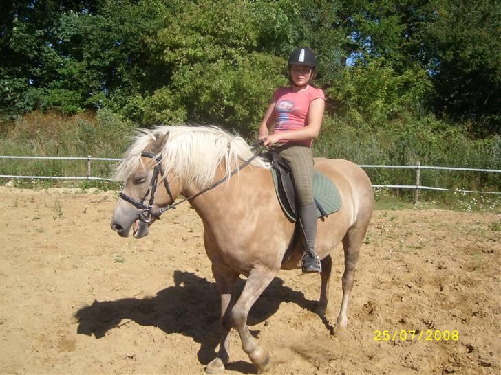 Haflinger Emma <3 (gamle part) - ^^ billede 11
